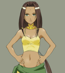 Rule 34 | 1girl, arc the lad, arc the lad ii, breasts, brown hair, female focus, green eyes, hands on own hips, hosi, long hair, midriff, sania, simple background, solo, tan, tank top