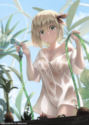 Rule 34 | 1girl, blonde hair, blue sky, breasts, cleavage, closed mouth, day, green eyes, hair between eyes, hair ribbon, highres, holding, holding hose, hose, looking at viewer, medium breasts, off-shoulder shirt, off shoulder, original, outdoors, plant, raiz art works, red ribbon, ribbon, see-through, shirt, short hair, sky, smile, water, wet, wet clothes, wet shirt