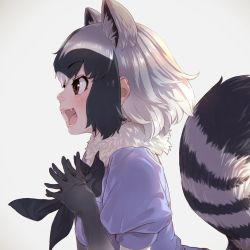 Rule 34 | 1girl, :d, animal ears, black hair, bow, bowtie, brown eyes, commentary request, common raccoon (kemono friends), elbow gloves, extra ears, fangs, from side, fur collar, gloves, grey hair, hands up, kemono friends, lips, looking afar, medium hair, open mouth, own hands together, profile, puffy short sleeves, puffy sleeves, raccoon ears, raccoon tail, short-sleeved sweater, short sleeves, sidelocks, smile, solo, sweater, tail, takami masahiro, upper body, white hair
