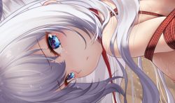 Rule 34 | 1girl, azur lane, bdsm, blue eyes, bondage, bound, bound arms, breasts, close-up, collar, haneru, le malin (azur lane), long hair, looking at viewer, medium breasts, nude, red collar, red rope, rope, silver hair, solo