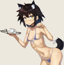Rule 34 | 1girl, animal ear fluff, animal ears, bikini, black hair, breasts, collar, collarbone, cup, dog ears, dog tail, fangs, front-tie bikini top, front-tie top, highres, holding, holding saucer, looking at viewer, micro bikini, navel, nipple slip, nipples, onimushi hyogo, original, paw pose, saucer, short hair, sidelocks, simple background, small breasts, smile, solo, swimsuit, tail, teacup, yellow eyes