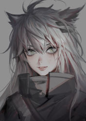 Rule 34 | 1girl, animal ears, arknights, black jacket, commentary request, grey background, grey eyes, hair between eyes, hair ornament, hairclip, high collar, highres, jacket, jiam009, lappland (arknights), long hair, looking at viewer, scar, scar across eye, scar on face, silver hair, simple background, smile, solo, upper body, wolf ears
