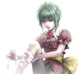Rule 34 | 1girl, asellus (saga frontier), bike shorts, breasts, closed mouth, commentary request, dress, flower, green hair, pink eyes, red flower, red rose, rose, saga, saga frontier, short hair, simple background, solo, tontan, white background