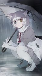 Rule 34 | 1girl, animal ear fluff, animal ears, blue eyes, commentary request, dog (mixed breed) (kemono friends), dog ears, dog tail, elbow gloves, gloves, grey hair, grey jacket, grey pantyhose, grey skirt, harness, heterochromia, highres, jacket, kemono friends, looking at viewer, multicolored clothes, multicolored hair, multicolored jacket, pantyhose, pleated skirt, rain, sasahara (shou goi), scarf, short hair, short sleeves, skirt, solo, squatting, sweater, tail, two-tone jacket, umbrella, white gloves, white hair, white jacket, white sweater, yellow eyes