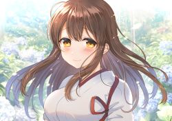 Rule 34 | ahoge, akagi (kancolle), brown hair, commentary request, fukuroumori, highres, japanese clothes, kantai collection, long hair, looking at viewer, nontraditional miko, photo background, portrait, solo, tasuki, tears, upper body, yellow eyes