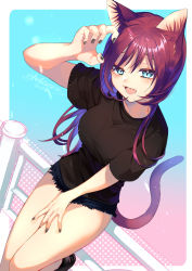 Rule 34 | 1girl, :d, animal ear fluff, animal ears, black nails, black shirt, blue eyes, breasts, brown hair, cat ears, cat girl, cat tail, claw pose, fang, highres, large breasts, long hair, looking at viewer, nail polish, open mouth, original, shinonome neko-tarou, shirt, short shorts, short sleeves, shorts, sitting, smile, tail