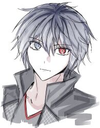 Rule 34 | 1boy, black jacket, black shirt, closed mouth, gongju s2, grey eyes, grey hair, heterochromia, high collar, highres, jacket, kingdom hearts, looking at viewer, open clothes, open jacket, portrait, red eyes, shirt, simple background, solo, white background, yozora (kingdom hearts)