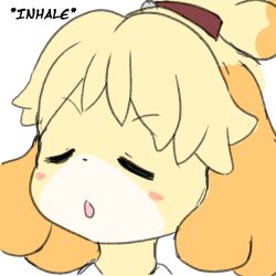 Rule 34 | 1girl, absurdres, animal crossing, animal ears, blonde hair, blush, blush stickers, closed eyes, dog ears, dog girl, face, female focus, furry, furry female, hair tie, highres, isabelle (animal crossing), nintendo, open mouth, short hair, simple background, sketch, solo, tanuk kun, topknot, white background