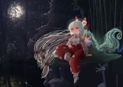 Rule 34 | 2girls, absurdly long hair, absurdres, bamboo, black footwear, blush stickers, bow, cliff, collared shirt, commentary request, dress, ex-keine, fujiwara no mokou, full body, green dress, green hair, hand on another&#039;s shoulder, hand on own leg, highres, horns, kamishirasawa keine, long hair, long sleeves, looking at viewer, moon, multiple girls, night, ofuda, ofuda on clothes, outdoors, pants, puffy short sleeves, puffy sleeves, red bow, red eyes, red pants, shirt, short sleeves, sitting, socks, star (sky), suspenders, sweet reverie, touhou, two-tone bow, very long hair, white bow, white hair, white shirt, white socks