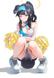 Rule 34 | 1girl, animal ears, black hair, blue archive, blue eyes, cheerleader, crop top, crossed arms, dog ears, dog girl, dog tail, eyewear on head, facial mark, goggles, goggles on head, halo, hibiki (blue archive), hibiki (cheer squad) (blue archive), holding, holding pom poms, millennium cheerleader outfit (blue archive), miniskirt, official alternate costume, pleated skirt, pom pom (cheerleading), pom poms, shoes, skirt, sneakers, solo, squatting, star (symbol), star facial mark, star sticker, sticker on arm, sticker on face, tail, udaruyo, white footwear, white skirt