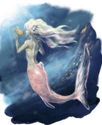 Rule 34 | 1girl, closed eyes, colored skin, completely nude, fins, fish, from behind, full body, grey skin, head fins, highres, kotori fumie, long hair, mermaid, monster girl, nude, old, old woman, original, scales, silver hair, smile, solo, traditional media, underwater, very long hair