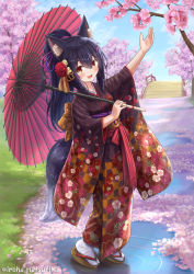 Rule 34 | 1girl, :d, animal ear fluff, animal ears, black hair, black kimono, blue sky, blush, bridge, brown eyes, brown footwear, cloud, commentary request, day, fang, floral print, flower, furisode, hair between eyes, hair ornament, hairclip, highres, holding, holding umbrella, iroha (iroha matsurika), japanese clothes, kimono, kunoichi-chan (iroha (iroha matsurika)), long hair, looking at viewer, oil-paper umbrella, open mouth, original, outdoors, pink flower, ponytail, print kimono, red umbrella, ripples, sandals, sky, smile, socks, solo, tabi, tail, twitter username, umbrella, very long hair, water, white socks, wolf ears, wolf girl, wolf tail, x hair ornament, zouri