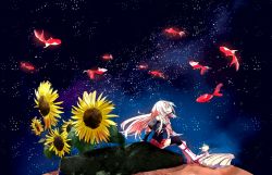 Rule 34 | 1girl, area-b (artist), bad id, bad pixiv id, boots, fish, flower, goldfish, ia (vocaloid), long hair, looking away, looking up, night, pink hair, skirt, sky, solo, star (sky), starry sky, sunflower, very long hair, vocaloid
