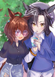 Rule 34 | 2girls, agnes tachyon (umamusume), ahoge, air shakur (umamusume), animal ears, belt, black hair, black shirt, blue sweater, blurry, blurry background, bracelet, breasts, brown hair, collared shirt, commentary request, cowboy shot, cup, denim, disposable cup, drinking straw, drinking straw in mouth, ear ornament, ear piercing, earrings, gakeumi, grey headwear, hair between eyes, holding, holding cup, horse ears, horse girl, horse tail, jeans, jewelry, long hair, long sleeves, medium breasts, multiple girls, official alternate costume, outdoors, pants, piercing, red eyes, round eyewear, shirt, single earring, smile, sunglasses, sweater, tail, torn clothes, torn jeans, torn pants, umamusume, white belt, white shirt, yellow eyes