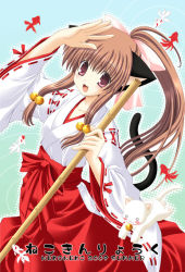 Rule 34 | :3, animal ears, bell, blush, brown hair, cat, cat ears, cat tail, fish, japanese clothes, laughing, long hair, miko, nekoneko, ponytail, ribbon, solo, staff, tail