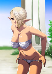 Rule 34 | 00s, 1girl, areuhat, bandeau, bare shoulders, blonde hair, bra, breasts, brown eyes, cleavage, elf, elvaan, final fantasy, final fantasy xi, hair over one eye, large breasts, legs, lingerie, panties, panty pull, pointy ears, shiri hime, shirihime, solo, strapless, tiger stripes, tube top, underwear, underwear only, undressing