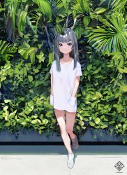 Rule 34 | 1girl, ai-assisted, bad id, bad pixiv id, closed mouth, commentary, day, full body, grey eyes, grey hair, hands in pockets, leaf, long hair, looking at viewer, meola, original, outdoors, plant, shirt, short sleeves, smile, solo, standing, symbol-only commentary, white shirt