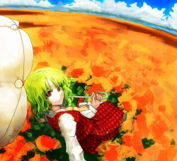 Rule 34 | 1girl, ascot, bad id, bad pixiv id, chirigami-san, cloud, female focus, field, flower, flower field, from behind, green hair, grey eyes, kazami yuuka, looking back, parasol, plaid, plaid skirt, plaid vest, reclining, red eyes, red pupils, skirt, skirt set, smile, solo, sunflower, sunflower field, touhou, umbrella, vest