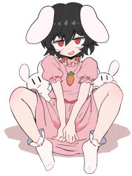 1girl animal_ears black_hair blush dress full_body hair_between_eyes highres inaba_tewi kurachi_mizuki looking_at_viewer open_mouth pink_dress puffy_short_sleeves puffy_sleeves rabbit rabbit_ears rabbit_girl red_eyes ribbon-trimmed_sleeves ribbon-trimmed_swimsuit ribbon_trim short_hair short_sleeves simple_background sitting socks solo spread_legs swimsuit touhou white_background white_rabbit_(animal) white_socks