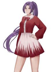 Rule 34 | 1girl, aroevela, bow, bowtie, closed mouth, commentary, cowboy shot, english commentary, hand on own hip, highres, jacket, long hair, long sleeves, looking at viewer, meira (touhou), pink skirt, pleated skirt, ponytail, purple eyes, purple hair, red bow, red bowtie, red jacket, red skirt, skirt, solo, touhou, touhou (pc-98), two-tone skirt, very long hair