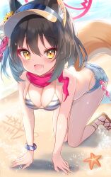 Rule 34 | 1girl, absurdres, all fours, animal, animal ears, beach, bikini, black hair, blue archive, blush, breasts, cleavage, eyeshadow, fang, fingernails, flower, fox ears, fox tail, hair flower, hair ornament, halo, hat, highres, izuna (blue archive), izuna (swimsuit) (blue archive), looking at viewer, makeup, medium breasts, nail polish, ocean, official alternate costume, open mouth, red eyeshadow, red halo, red scarf, sandals, scarf, short hair, skin fang, smile, solo, sorozukin, starfish, striped bikini, striped clothes, swimsuit, tail, yellow eyes, yellow flower, yellow nails