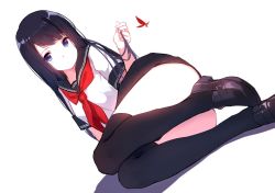 Rule 34 | 1girl, black hair, black thighhighs, blue eyes, bug, butterfly, caidychen, dutch angle, insect, loafers, long hair, looking at viewer, original, school uniform, serafuku, shoes, skirt, solo, thighhighs, white background