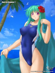 Rule 34 | 2004, arena (company), beach, beach towel, bird, cameltoe, cleft of venus, competition swimsuit, covered erect nipples, covered navel, flower, flower on head, green hair, high cut kingdom, highleg, highleg swimsuit, nipples, nyanko batake, ocean, one-piece swimsuit, palm tree, purple eyes, seagull, swimsuit, towel, tree, wet