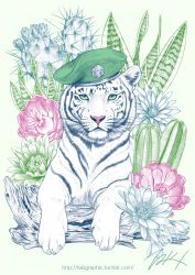 Rule 34 | cactus, flower, green eyes, hat, log, looking at viewer, military hat, no humans, original, signature, takigraphic, tiger, watermark, web address, white background, white tiger