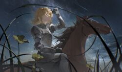 Rule 34 | 1girl, armor, blonde hair, comet, don quixote (novel), don quixote (project moon), field, flower, grass, hand up, highres, horse, horseback riding, limbus company, liyln02617464, looking to the side, milky way, night, night sky, outdoors, parted lips, project moon, riding, rocinante, short hair, sky, solo, star (sky), starry sky, yellow eyes, yellow flower