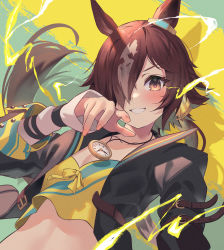 Rule 34 | 1girl, :d, absurdres, animal ears, black jacket, blush, breasts, brown eyes, brown hair, cleavage, compass (instrument), crop top, cropped jacket, dodota, grin, hair over one eye, hand up, highres, horse ears, horse girl, jacket, long hair, looking at viewer, open clothes, open jacket, open mouth, ponytail, small breasts, smile, solo, umamusume, upper body, vodka (umamusume)