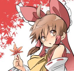Rule 34 | 1girl, autumn leaves, bare shoulders, bow, brown eyes, brown hair, detached sleeves, hair bow, hair tubes, hakurei reimu, holding, leaf, looking at viewer, matching hair/eyes, open mouth, red bow, ribbon-trimmed sleeves, ribbon trim, solo, touhou, upper body, usagi (touhopu2)
