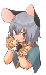 Rule 34 | 1girl, animal ears, blue capelet, blush, capelet, character doll, commentary request, cropped torso, doll, greenpiecerice, grey hair, hair between eyes, holding, holding doll, licking, looking at viewer, medium bangs, mouse ears, mouse girl, nazrin, open mouth, red eyes, short hair, simple background, solo, tongue, tongue out, toramaru shou, touhou, upper body, white background
