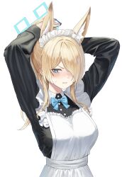 1girl absurdres adjusting_hair alternate_costume animal_ears apron arms_behind_head black_shirt blue_archive blue_eyes blue_halo breasts clenched_teeth commentary doggo34476335 enmaided hair_over_one_eye halo highres kanna_(blue_archive) long_sleeves maid maid_apron maid_headdress medium_breasts sharp_teeth shirt simple_background solo teeth white_apron white_background