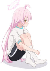 Rule 34 | 1girl, ahoge, black shorts, blue archive, blush, brown eyes, commentary request, gym shirt, gym shorts, gym uniform, hair between eyes, halo, highres, hoshino (blue archive), knees up, long hair, no shoes, pink hair, profile, puffy short sleeves, puffy sleeves, shadow, shirt, short sleeves, shorts, simple background, sitting, socks, solo, takasuma hiro, very long hair, white background, white shirt, white socks