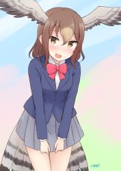 Rule 34 | 1girl, :d, absurdres, alternate costume, blue jacket, bow, bowtie, brown eyes, brown hair, commentary, cowboy shot, grey skirt, hair between eyes, head wings, highres, jacket, kemono friends, long hair, long sleeves, looking at viewer, multicolored background, northern goshawk (kemono friends), open mouth, pink bow, pink bowtie, pleated skirt, shiraha maru, simple background, skirt, smile, solo, tail, wings