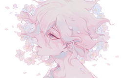 Rule 34 | 1boy, cherry blossoms, commentary request, danganronpa (series), danganronpa 2: goodbye despair, flower, from side, grey eyes, hair between eyes, head, highres, komaeda nagito, looking up, lower teeth only, male focus, messy hair, open mouth, petals, pink flower, portrait, profile, shirt, solo, teeth, white background, white shirt, xiwang xintu