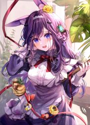 Rule 34 | 1girl, :d, absurdres, animal ear fluff, animal ears, apron, blue eyes, blush, bow, bowtie, breasts, commentary, dress, flower, food, fruit, gem, hair between eyes, hair flower, hair ornament, hairband, highres, holding, large breasts, long hair, long sleeves, open mouth, original, plant, puracotte, purple dress, purple hair, rabbit ears, red bow, red bowtie, red ribbon, ribbon, smile, solo, strawberry, white apron, white hairband, yellow flower