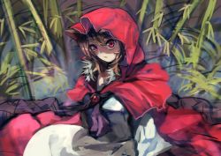 Rule 34 | 1girl, animal ears, bamboo, bamboo forest, berabou, brooch, brown hair, dress, expressionless, forest, hood, imaizumi kagerou, jewelry, long hair, long sleeves, looking at viewer, nature, red dress, red eyes, solo, touhou, white dress, wolf ears