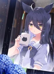 Rule 34 | 1girl, ahoge, animal ears, black bow, black hair, blouse, blue flower, blue shirt, blurry, blurry background, blurry foreground, bow, brown eyes, commentary request, cup, depth of field, ear piercing, flower, from outside, hair between eyes, highres, holding, holding cup, horse ears, hydrangea, long hair, looking at viewer, manhattan cafe (umamusume), mug, nanamomo rio, outdoors, parted lips, piercing, puffy short sleeves, puffy sleeves, purple shirt, rain, school uniform, shirt, short sleeves, solo, tracen school uniform, umamusume, upper body, very long hair, window