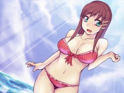 Rule 34 | 1girl, :d, bikini, breasts, brown hair, cloud, collarbone, green eyes, hair ornament, hairclip, large breasts, light rays, long hair, looking at viewer, navel, open mouth, red bikini, smile, solo, sophia esteed, star ocean, star ocean till the end of time, swimsuit, thighs, water