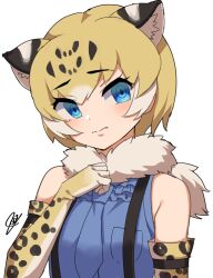 Rule 34 | 1girl, animal ears, animal print, arizonan jaguar (kemono friends), arm at side, bare shoulders, black hair, blonde hair, blue eyes, blue necktie, blue shirt, breast pocket, closed mouth, elbow gloves, empty eyes, extra ears, frilled shirt, frills, fur scarf, gloves, grey background, grey hair, hand up, hatagaya, head tilt, jaguar ears, jaguar print, kemono friends, looking at viewer, multicolored hair, necktie, pocket, print gloves, ringed eyes, scarf, shirt, short hair, simple background, sleeveless, sleeveless shirt, solo, suspenders, upper body