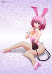 Rule 34 | 1girl, absurdres, animal ears, bare shoulders, blush, bow, bowtie, breasts, cleavage, demon tail, detached collar, fake animal ears, finger to mouth, fishnet pantyhose, fishnets, flower, full body, hair flower, hair ornament, high heels, highres, leotard, looking at viewer, medium breasts, momo velia deviluke, pantyhose, pink bow, pink bowtie, pink footwear, pink hair, pink leotard, playboy bunny, purple eyes, rabbit ears, rabbit tail, shoes, short hair, shy, sitting, smile, solo, tail, to love-ru, wrist cuffs, zel-sama