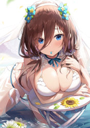 Rule 34 | 1girl, absurdres, ale nqki, arm under breasts, bare shoulders, bikini, blue eyes, blue flower, blue ribbon, blush, breasts, brown hair, cleavage, closed mouth, flower, frilled bikini, frills, go-toubun no hanayome, hair between eyes, hair flower, hair ornament, hair scrunchie, hairband, hand on own chest, highres, large breasts, long hair, looking at viewer, low twintails, mouth hold, nakano miku, neck ribbon, petals, ribbon, scrunchie, solo, sunflower, swimsuit, table, twintails, veil, water, white bikini, white hairband, yellow flower