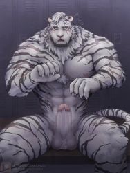 Rule 34 | 1boy, abs, animal ears, arknights, bara, blush, body fur, bulge, censored, chizo (chizo67), completely nude, erection, feet out of frame, furry, furry male, large pectorals, locker, locker room, looking at viewer, male focus, mosaic censoring, mountain (arknights), muscular, muscular male, navel, nipples, nude, pectorals, penis, scar, scar across eye, scar on face, short hair, sitting, solo, stomach, testicles press, thick thighs, thighs, tiger boy, tiger ears, uncensored, white fur