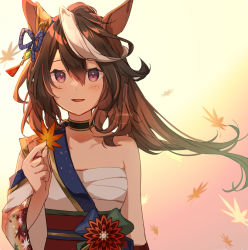 Rule 34 | 1girl, animal ears, autumn leaves, bare shoulders, blush, brown hair, chest sarashi, earrings, hair between eyes, highres, holding, holding leaf, horse ears, horse girl, japanese clothes, jewelry, leaf, long hair, maple leaf, nut megu, official alternate costume, open mouth, purple eyes, sarashi, single earring, smile, solo, symboli rudolf (archer of the white moon) (umamusume), symboli rudolf (umamusume), umamusume, upper body, white hair, wide sleeves