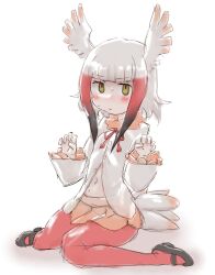 Rule 34 | 1girl, bird girl, bird tail, bird wings, black footwear, black hair, blunt bangs, blush, bow, bowtie, embarrassed, frilled sleeves, frills, fur collar, head wings, highres, japanese crested ibis (kemono friends), k (susiinochi24), kemono friends, long sleeves, looking at viewer, mary janes, midriff peek, navel, open clothes, open shirt, pantyhose, pleated skirt, red bow, red bowtie, red fur, red hair, red pantyhose, red skirt, shirt, shoes, short hair, sidelocks, sitting, skirt, solo, tail, wariza, white hair, white shirt, wings, yellow eyes