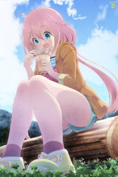 Rule 34 | 1girl, aosora neko, bad id, bad pixiv id, blue eyes, blue sky, chopsticks, cloud, cup ramen, dated, day, eating, food, foreshortening, from below, grass, highres, jacket, kagamihara nadeshiko, log, long hair, low twintails, noodles, open mouth, outdoors, pink hair, ramen, shirt, shoes, shorts, sitting, sky, sneakers, socks, solo, striped clothes, striped shirt, twintails, very long hair, yurucamp