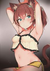 Rule 34 | 1girl, absurdres, ahoge, animal ears, armpits, arms behind head, babydoll, blue eyes, blush, breasts, brown hair, cat ears, cat girl, cat tail, hair between eyes, hair ornament, hair scrunchie, highres, hololive, huge filesize, looking at viewer, midriff, natsuiro matsuri, natsuiro matsuri (matsuri&#039;s day off), navel, scrunchie, short shorts, shorts, side ponytail, small breasts, solo, spaghetti strap, stomach, sweat, tail, teriibol, virtual youtuber, yellow scrunchie, yellow shorts