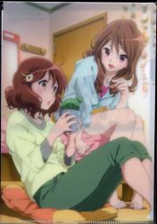 Rule 34 | 2girls, absurdres, artist request, barefoot, bed, blue hoodie, blush, brown eyes, brown hair, cactus, collarbone, flower, green pants, hair flower, hair ornament, hairclip, hibike! euphonium, highres, holding, hood, hoodie, indoors, lipstick, long hair, long sleeves, looking at another, makeup, multiple girls, official art, on bed, oumae kumiko, oumae mamiko, pants, parted lips, pillow, pink eyes, pink shirt, plant, potted plant, scan, scan artifacts, shirt, short hair, siblings, sisters, sitting, smile, yellow shirt