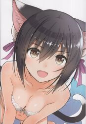 Rule 34 | 1girl, absurdres, animal ears, bare shoulders, black hair, breasts, brown eyes, bun cover, cat ears, cat girl, cat tail, collarbone, double bun, fang, hair bun, hair ornament, highres, looking at viewer, navel, open mouth, ribbon, scan, shaomei rin, shining (series), shining hearts, shiny skin, short hair, simple background, small breasts, smile, solo, stomach, tail, tony taka, white background